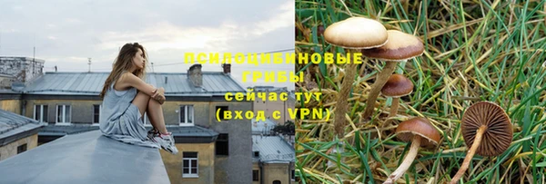 гидра Кинешма