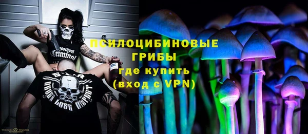 не бодяженный Киренск
